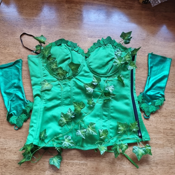 DC Superheroes Poison Ivy Adult Deluxe Corset & Glovelettes Halloween Costume - Picture 2 of 10